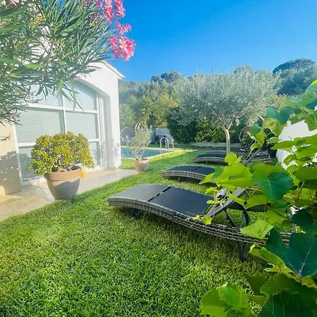 Paradise * Ollioules